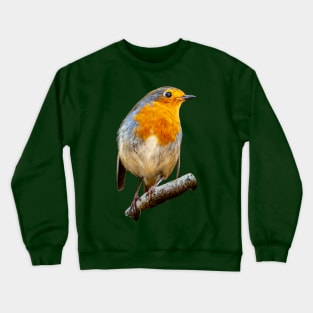 Robin Crewneck Sweatshirt